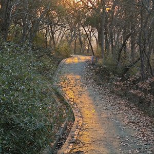 匆匆人生路何时稳定
