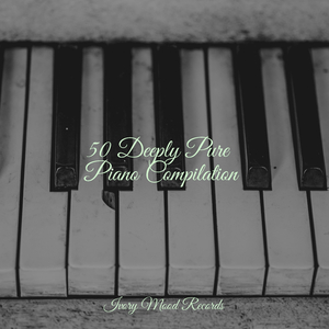 Midnight Musing Avenue