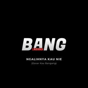 Ngalihnya Kau Nie (Dasar Kau Bangang)