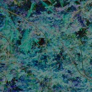 inhabitable