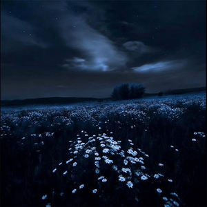 Clouded Thoughts (with rain)