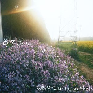 妳の小貓ฅωฅ