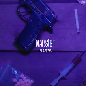 NARSİST