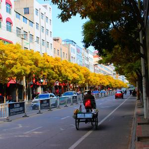 一个歌手的情书(原唱周三)（翻自 李昊沄）