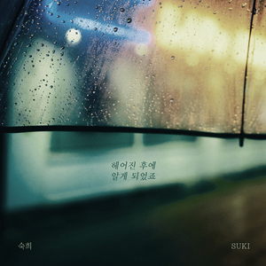 헤어진 후에 알게 되었죠 (Inst.)