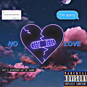 NO LOVE