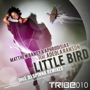 Little Bird (Flutestramental Mix)