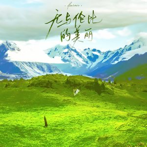 无与伦比的美丽