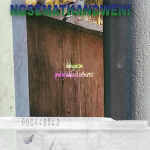 NGSEMATHANDWENI (feat. Donald Nera Music)