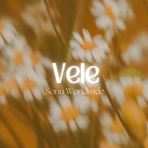 Vele (Slowed and Reverb)