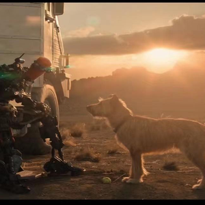 夏日里最后的玫瑰（钢琴）