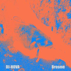Brosme
