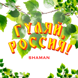 ГУЛЯЙ, РОССИЯ!