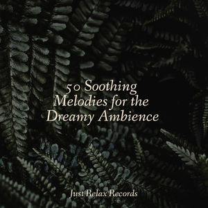 Mournful Memories of Amber