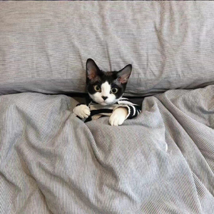 XXXTENTACION-NUMB FunK House（9ELM remix）