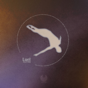 Flutter (Radio Edit)