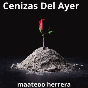 Marea Bajita