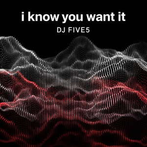 I Know You Want It