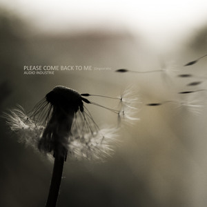 Please Come Back to Me (Original Mix)