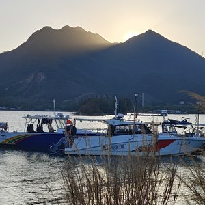 漂泊的人（男嗓咽版）