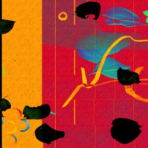 Dub Without Illusion