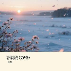 忘情忘爱  (女声版) (偲吹 Remix)