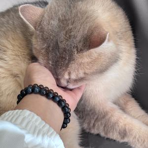 快点告诉你（ukulele弹唱版）