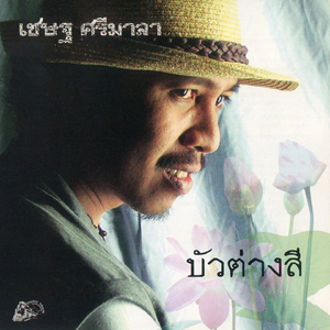 กินข้าวคนเดียว