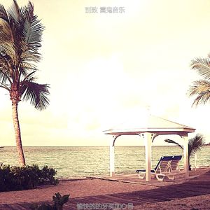 优美阿鲁巴岛器乐