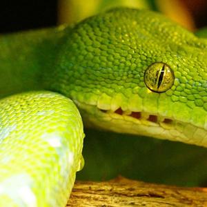 【free】Drip////Wheezy Type Beat