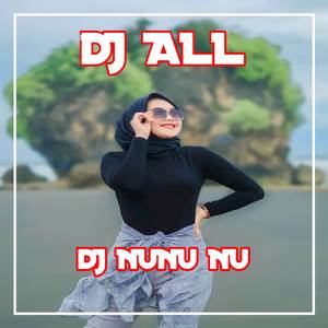 DJ NUNU NU