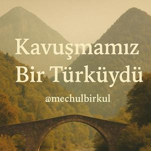 Kavuşmamız Bir Türküydü