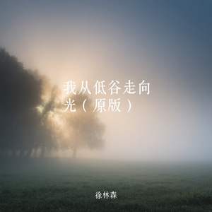 我从低谷走向光（原版）