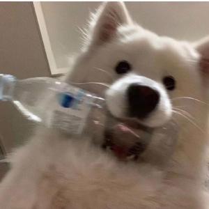 20220515_111714_0.wav