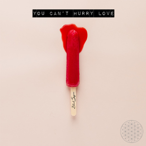 You Can't Hurry Love (Cover)