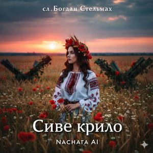 Сиве крило