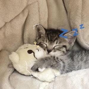 我知道我们没什么选择