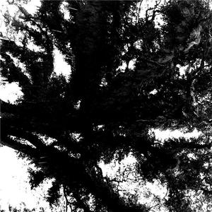 i burnt my ramen lol