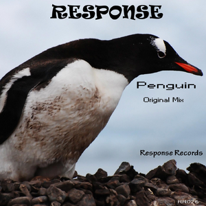 Penguin (Original Mix)