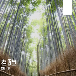 老酒巷