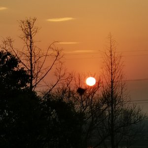 hustle freestyle (prod by Zone）