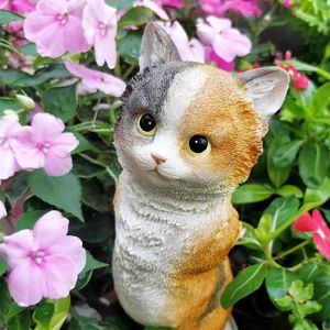 Flower Day （花日）-猫会说话吗