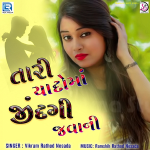 Tari Yaado Ma Jindagi Javani