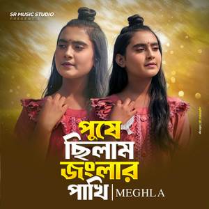 Poshe Chilam Jonghlar Pakhi