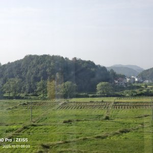 盖浇饭.wav