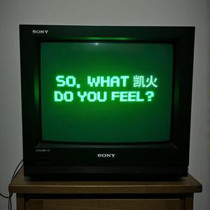 So, What Do You Feel ? 凯火