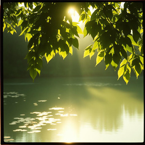 光に包まれて