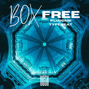 【Free Beat】'Box' | Pluugnb Type Beat