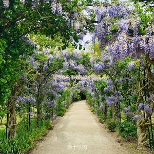 适合办公事务甜美的音乐