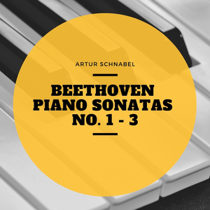 Piano Sonata No. 2 In A Major, Op. 2 No. 2 : II. Largo Appassionato